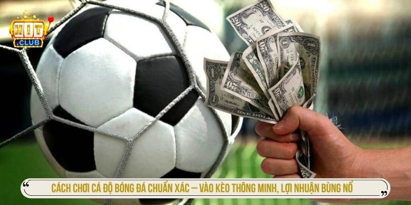 Cách chơi cá độ bóng đá