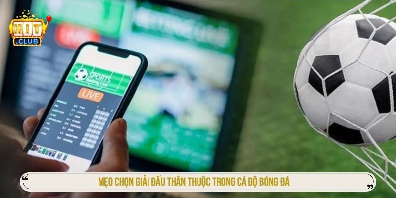 Mẹo chọn giải đấu thân thuộc trong cá độ bóng đá 